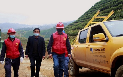 平塘供電局：“加減法”同構(gòu)服務(wù)，護(hù)航“貴州春茶第一壺”