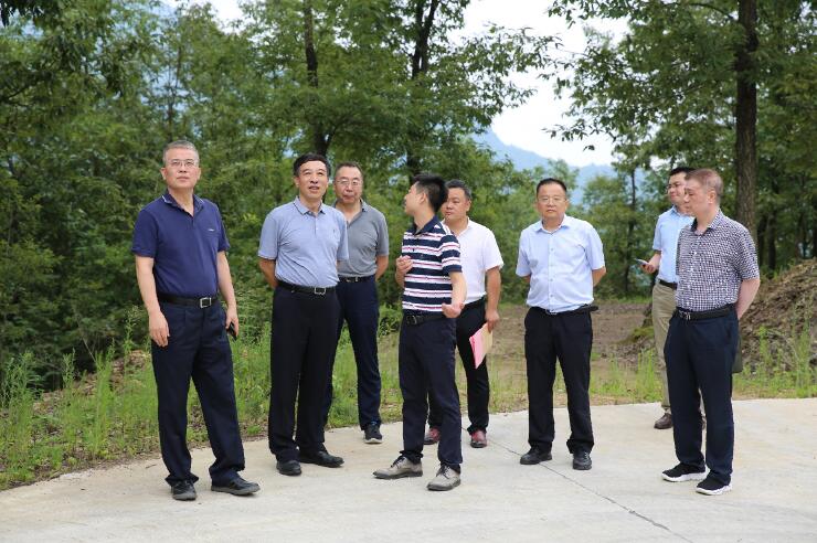 中國(guó)能建總經(jīng)理、黨委副書記孫洪水一行赴陜西鎮(zhèn)巴縣調(diào)研定點(diǎn)扶貧工作