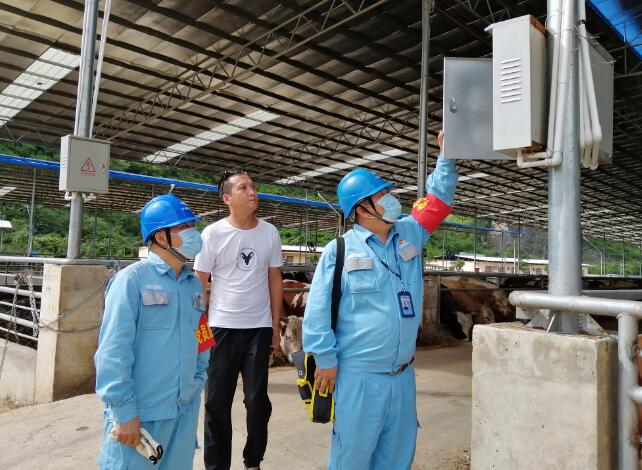 廣西寧明供電公司優(yōu)質(zhì)電力助力養(yǎng)殖事業(yè)越來(lái)越“?！? width=