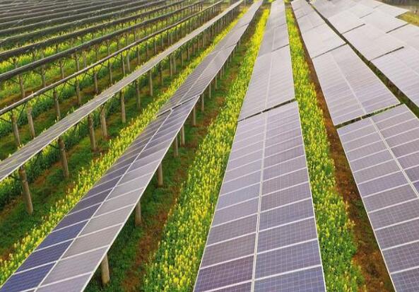 廣東清遠建設(shè)小型農(nóng)光互補光伏發(fā)電站，工程總投資1.5億元