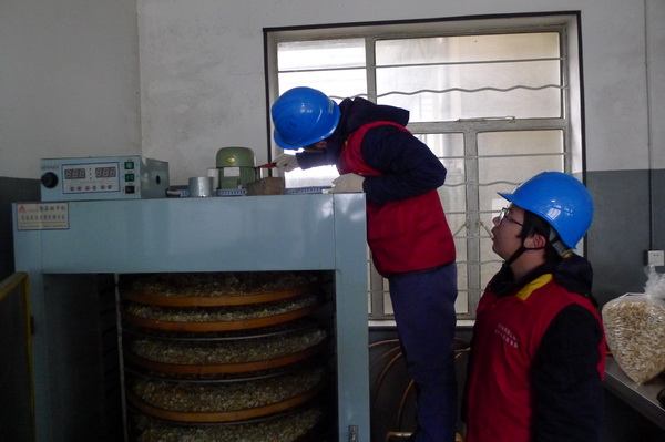 國網(wǎng)寧?？h供電公司：電力紅馬甲服務鄉(xiāng)村企業(yè) ，讓黃精變“黃金”