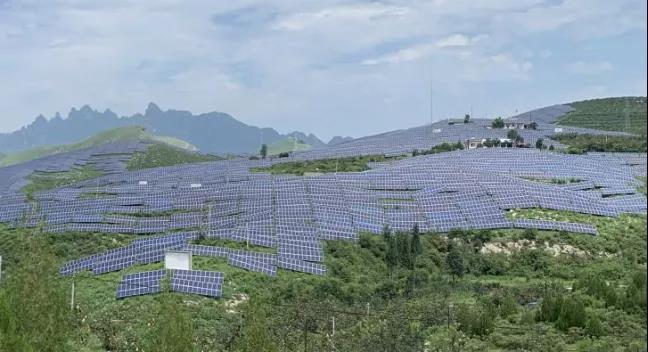 少長(zhǎng)一棵草，多發(fā)一度電，助力碳中和