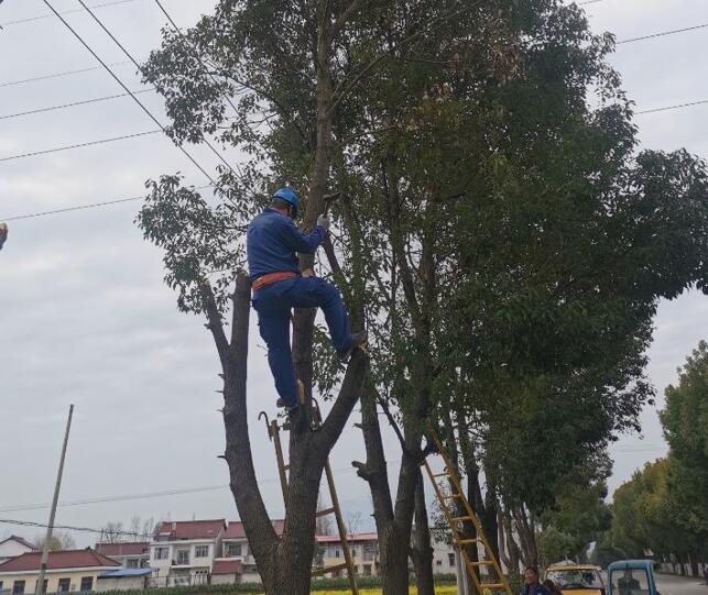 國(guó)網(wǎng)城固縣供電公司積極開(kāi)展春季樹障清理工作，打通線路安全通道  　　中國(guó)電力網(wǎng)訊  陽(yáng)春三月，草長(zhǎng)鶯飛，又到了樹竹快速生長(zhǎng)的季節(jié)，茂密的樹木包裹10千伏及0.4千伏導(dǎo)線，“線樹”矛盾愈發(fā)嚴(yán)重，此時(shí)也正