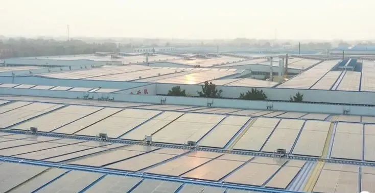 投資達(dá)9億！山東寒亭區(qū)447MW整縣分布式光伏項(xiàng)目正式啟動