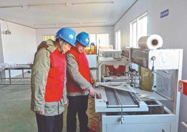 濱?？h供電公司：白首烏產(chǎn)業(yè)發(fā)展充上“滿(mǎn)格電”