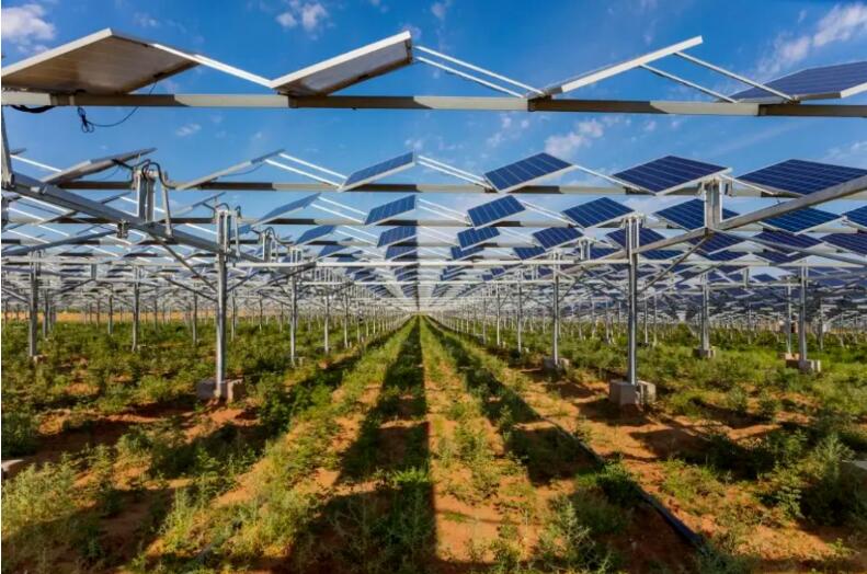 光伏治沙+風光大基地，寧夏“走出”生態(tài)保護和高質(zhì)量發(fā)展新道路