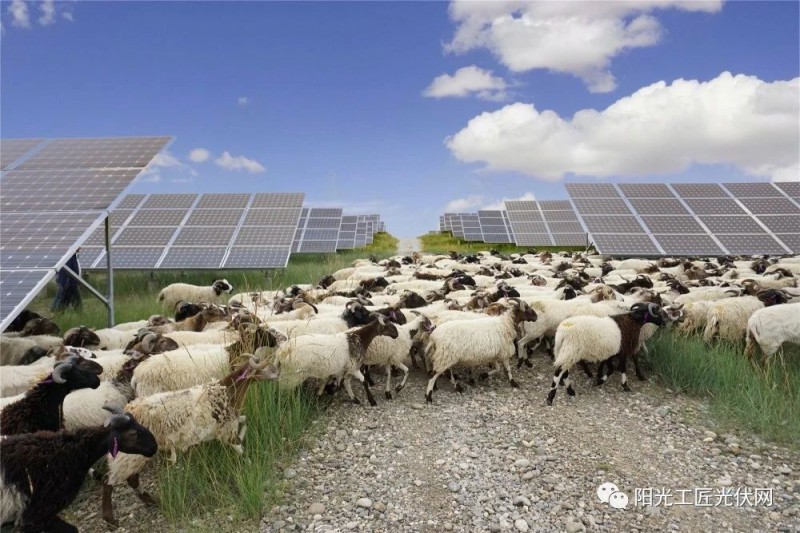 面積接近一個(gè)新加坡！青海塔拉灘光伏電站照亮“陽光之路”