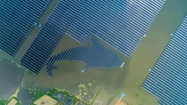 泗洪1000MW光伏領(lǐng)跑者項(xiàng)目被勒令拆除整改！