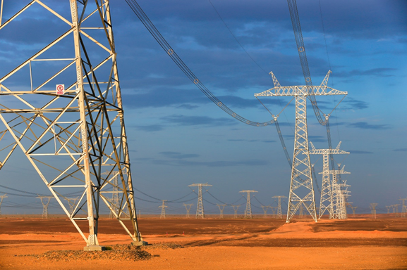 國家電網(wǎng)公司貫徹落實黨中央、國務院決策部署 全力服務扎實穩(wěn)住經(jīng)濟的八項舉措