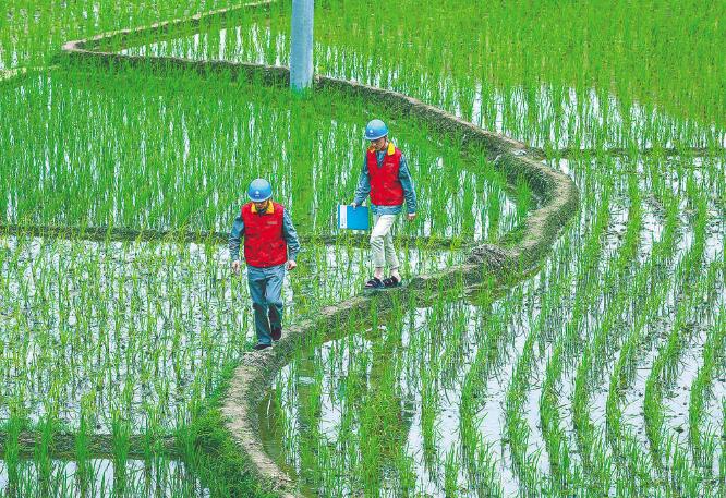 國家電網(wǎng)公司：全力以赴做好抗疫保供電，持續(xù)優(yōu)化電力營商環(huán)境