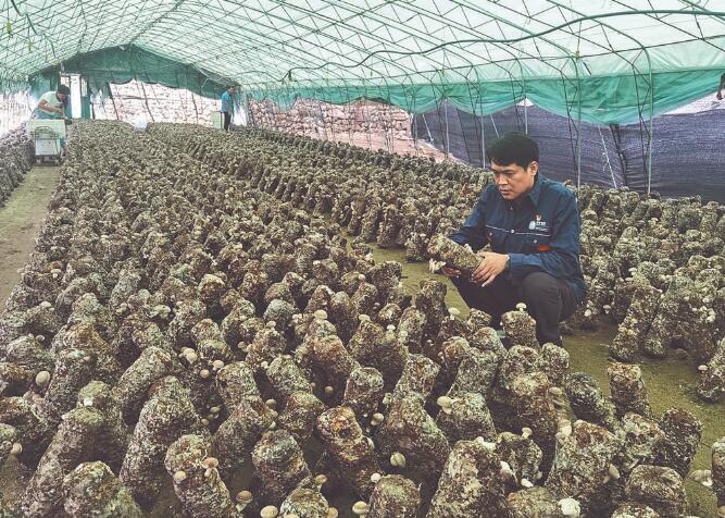 駐村書記崔學剛：想方設(shè)法讓村民增收致富