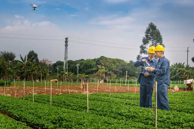 東莞供電局不誤農(nóng)時不負春，“零距離”服務春耕