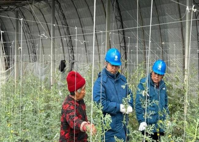 山東惠民供電公司：走訪種植大棚，優(yōu)化農(nóng)業(yè)營商環(huán)境