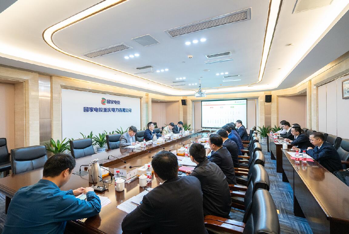 徐樹彪到重慶公司、遠達環(huán)保調研