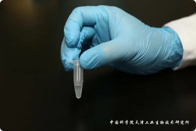 二氧化碳“變身”糖，中國科學(xué)家實(shí)現(xiàn)重大突破!