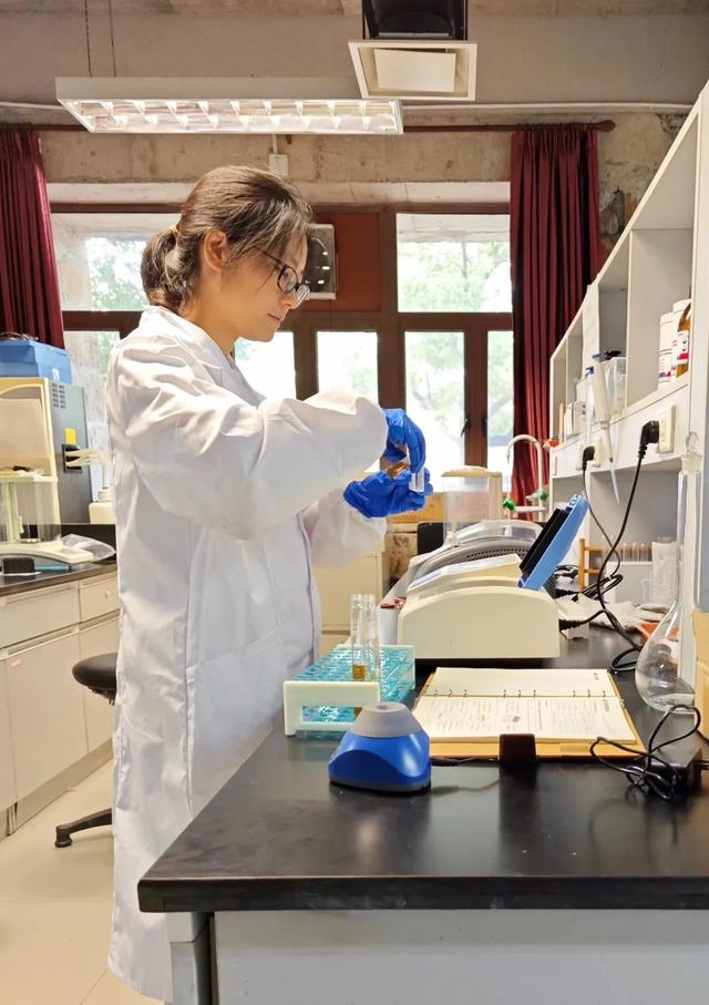 寶山這位博士后探索“氫轉(zhuǎn)甲烷”科創(chuàng)路徑，推動(dòng)清潔能源制氫