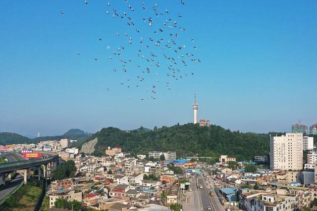 日“吞”垃圾500噸，年“吐”電能超億度!清鎮(zhèn)市首個(gè)生活垃圾焚燒發(fā)電項(xiàng)目并網(wǎng)發(fā)電