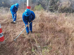國網鹽源縣供電公司開展線下易燃物清理