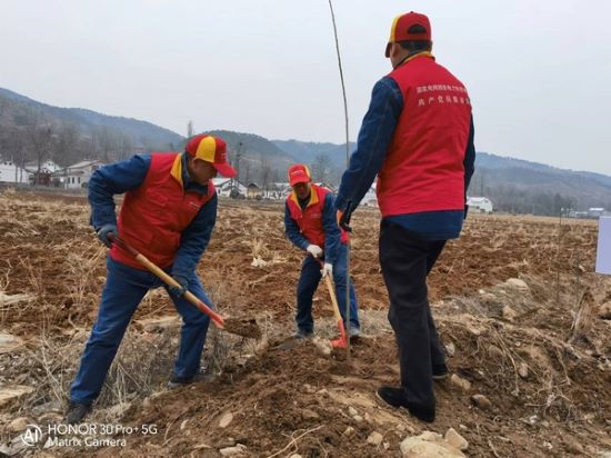 國網(wǎng)洛南縣公司“紅馬甲”義務(wù)植樹 為康養(yǎng)洛南添新綠