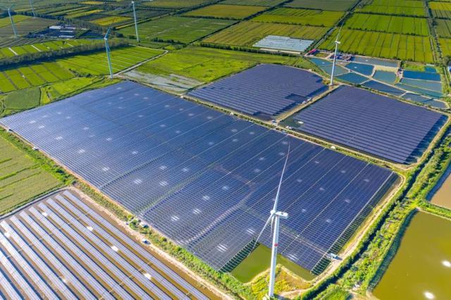 中國“雙碳”之路，要怎么走?