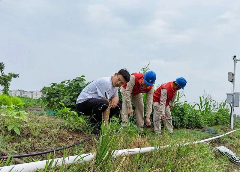 國網(wǎng)江蘇電力睢寧縣供電公司:電力護航不誤農(nóng)時