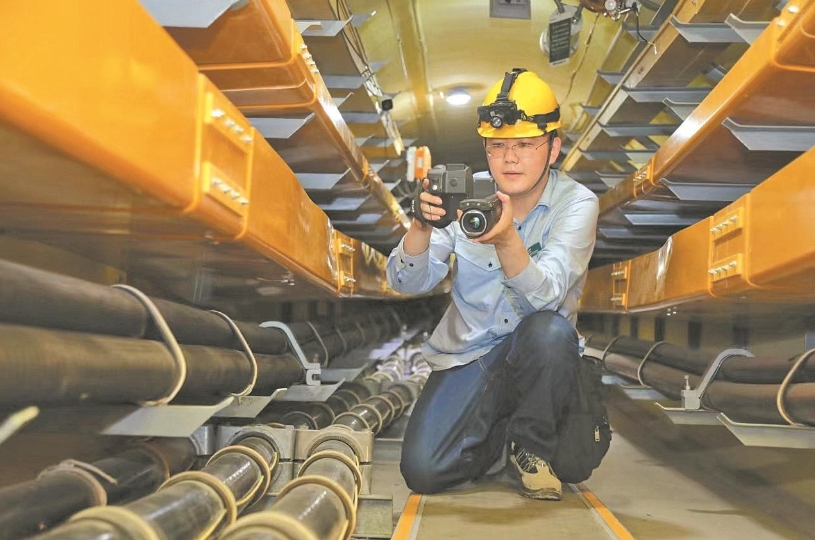 董力文：向下扎根，向上生長(zhǎng)