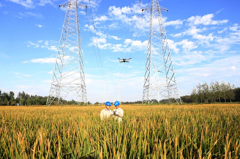 國(guó)網(wǎng)江蘇電力睢寧縣供電公司:無人機(jī)巡檢 筑牢電網(wǎng)安全