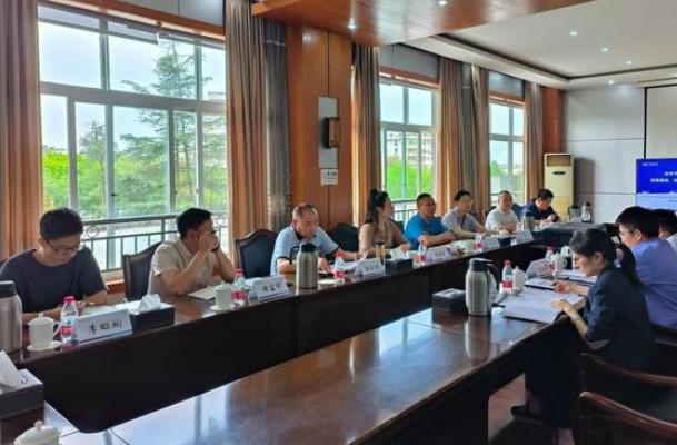 “氫”裝上陣，自貢市加快推動氫能全產(chǎn)業(yè)鏈發(fā)展