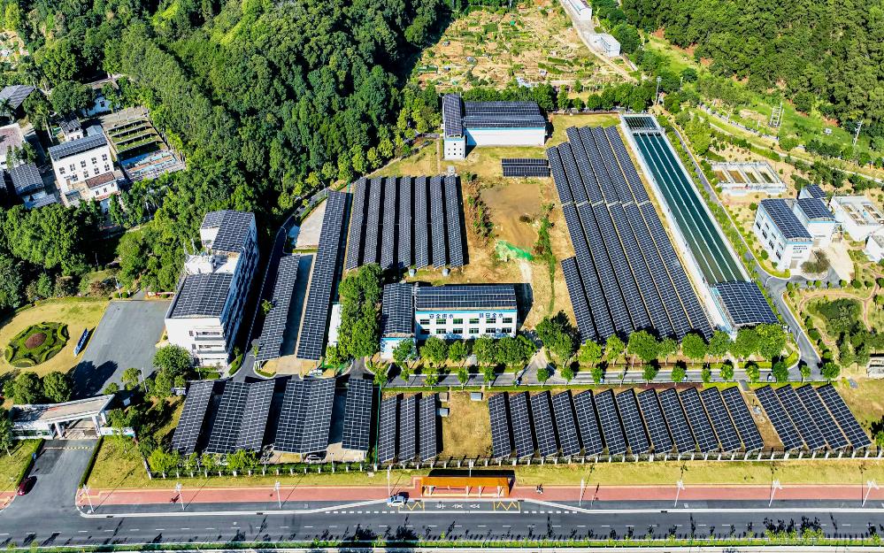 追“新”逐“綠” 粵?？毓杉瘓F(tuán)走實(shí)走好綠色低碳轉(zhuǎn)型高質(zhì)量發(fā)展道路