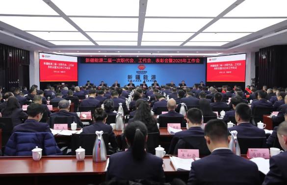 國(guó)能新疆能源召開(kāi)二屆一次職代會(huì)、工代會(huì)、表彰會(huì)暨2025年工作會(huì)