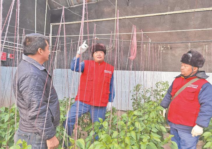 青海循化撒拉族自治縣大棚變智能，果蔬產(chǎn)量增