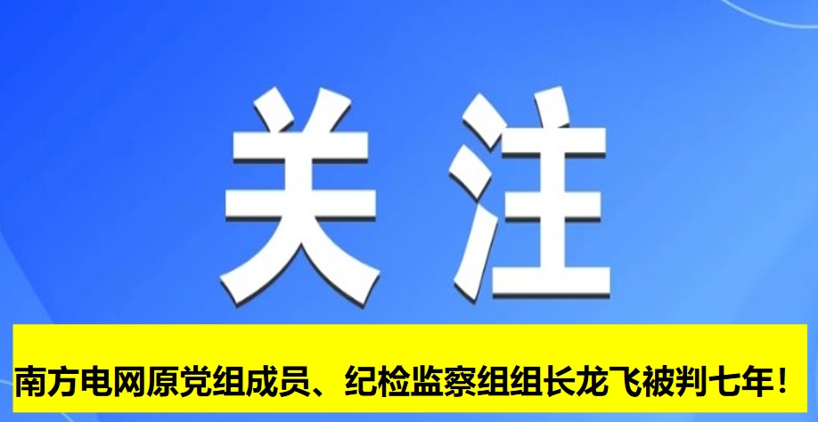 南方電網(wǎng)原黨組成員、紀(jì)檢監(jiān)察組組長龍飛被判